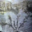 Kunzite from Brazil, Minas Gerais, Coronel Murta - image 3