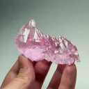 specimen video