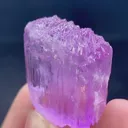 specimen video