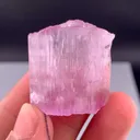 specimen video