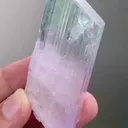 specimen video
