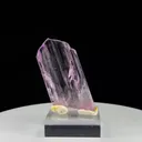 specimen video