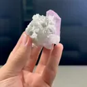 specimen video