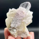 Kunzite on Albite - image 2