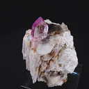 specimen video