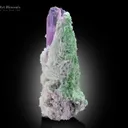 Kunzite with Cleavelandite from Afghanistan - image 3