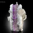 Kunzite with Quartz and Cleavelandite from Afghanistan - image 2