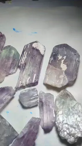 specimen video