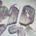 specimen video