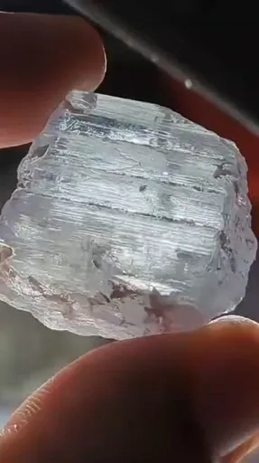 specimen video
