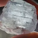 specimen video
