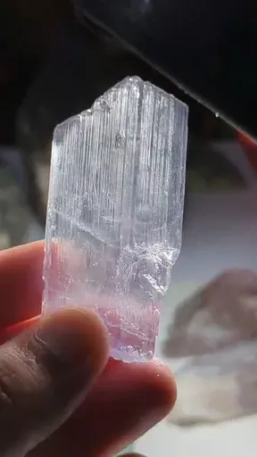 specimen video
