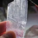 specimen video