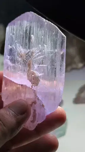 specimen video