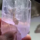 specimen video