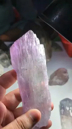 specimen video