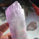 specimen video