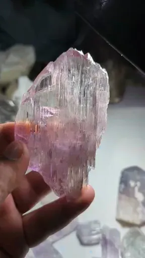 specimen video