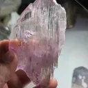specimen video