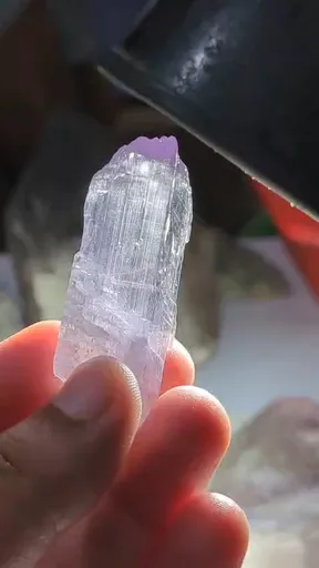 specimen video