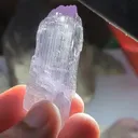 specimen video