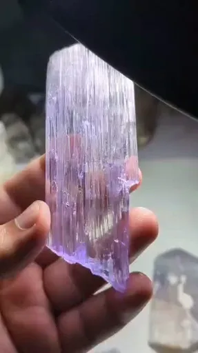 specimen video