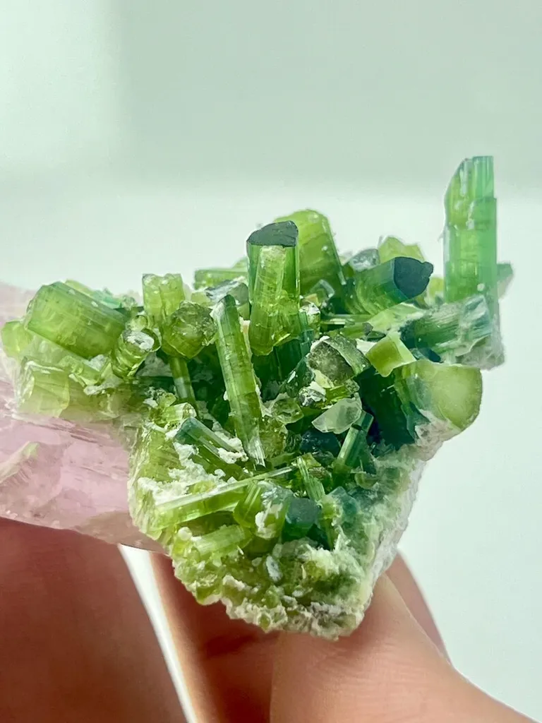 Kunzite With Tourmaline from Afghanistan, Kunar, Dara-e-Pech District, Dara-e-Pech pegmatite field - image 6