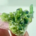 Kunzite With Tourmaline from Afghanistan, Kunar, Dara-e-Pech District, Dara-e-Pech pegmatite field - image 6