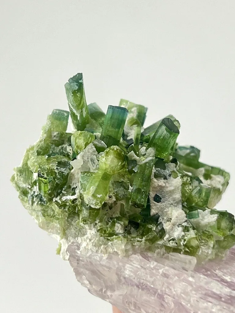 Kunzite With Tourmaline from Afghanistan, Kunar, Dara-e-Pech District, Dara-e-Pech pegmatite field - image 9