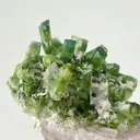 Kunzite With Tourmaline from Afghanistan, Kunar, Dara-e-Pech District, Dara-e-Pech pegmatite field - image 9