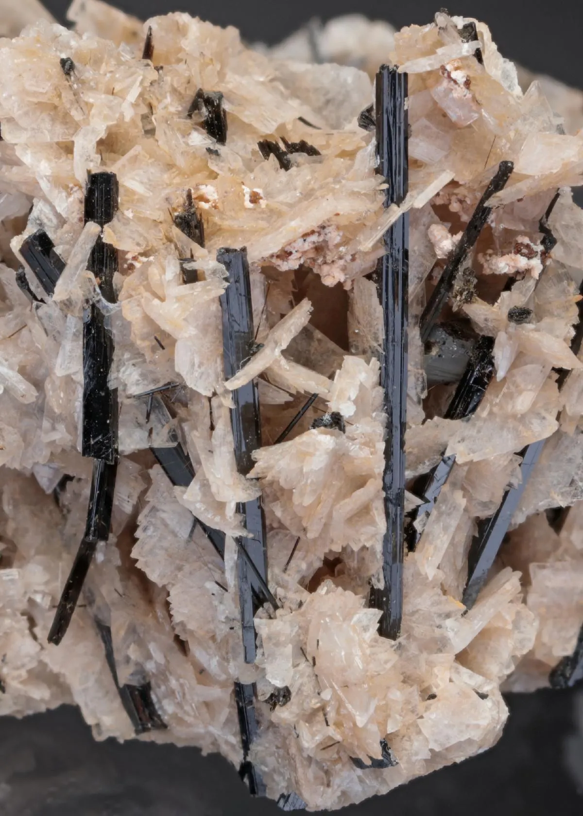 Kupletskite with Aegirine and Albite - image 1