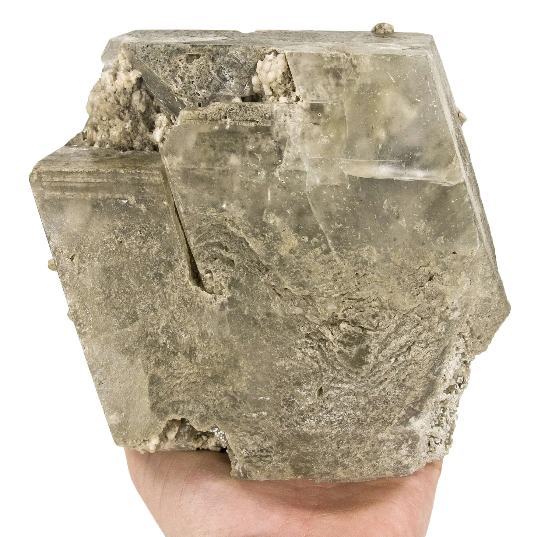 Kurnakovite - Giant Crystal - image 5