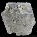 Kurnakovite - Giant Crystal - image 1