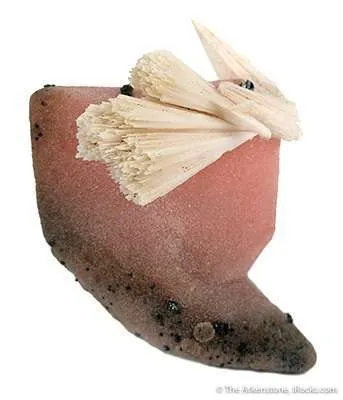 Kutnahorite on Manganocalcite Ps. Calcite Twin image