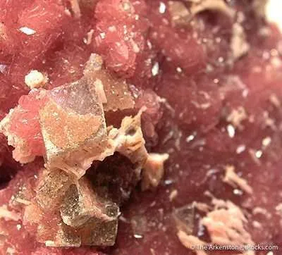 Kutnahorite on Rhodochrosite - image 3