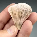 Kutnohorite (1131) - image 2