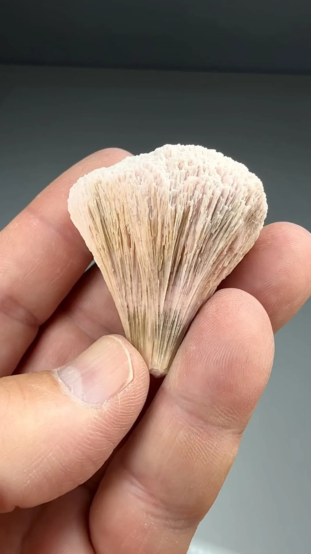 Kutnohorite (1131) - image 2