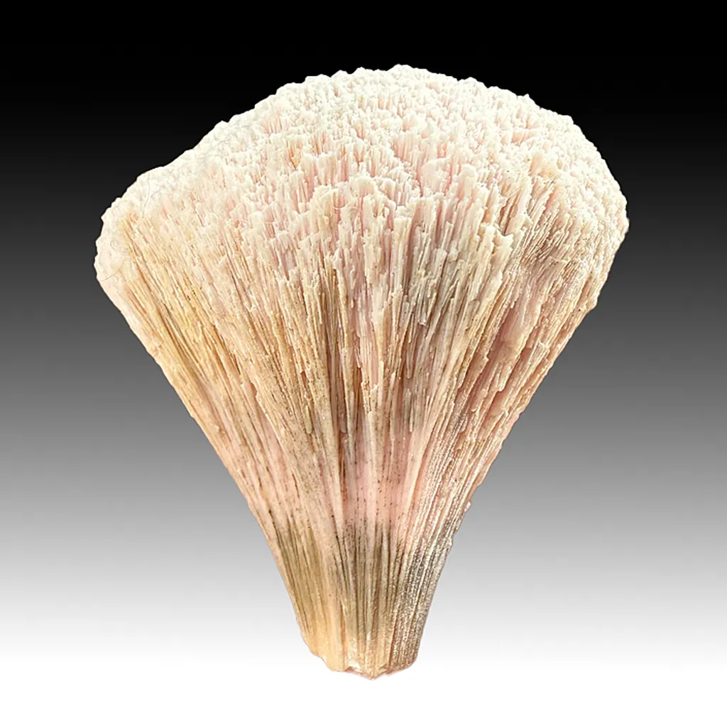 Kutnohorite (1131) image