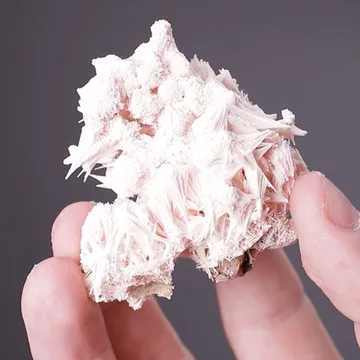 Kutnohorite