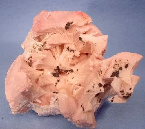 Kutnohorite image