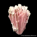 Kutnohorite and Calcite - image 1