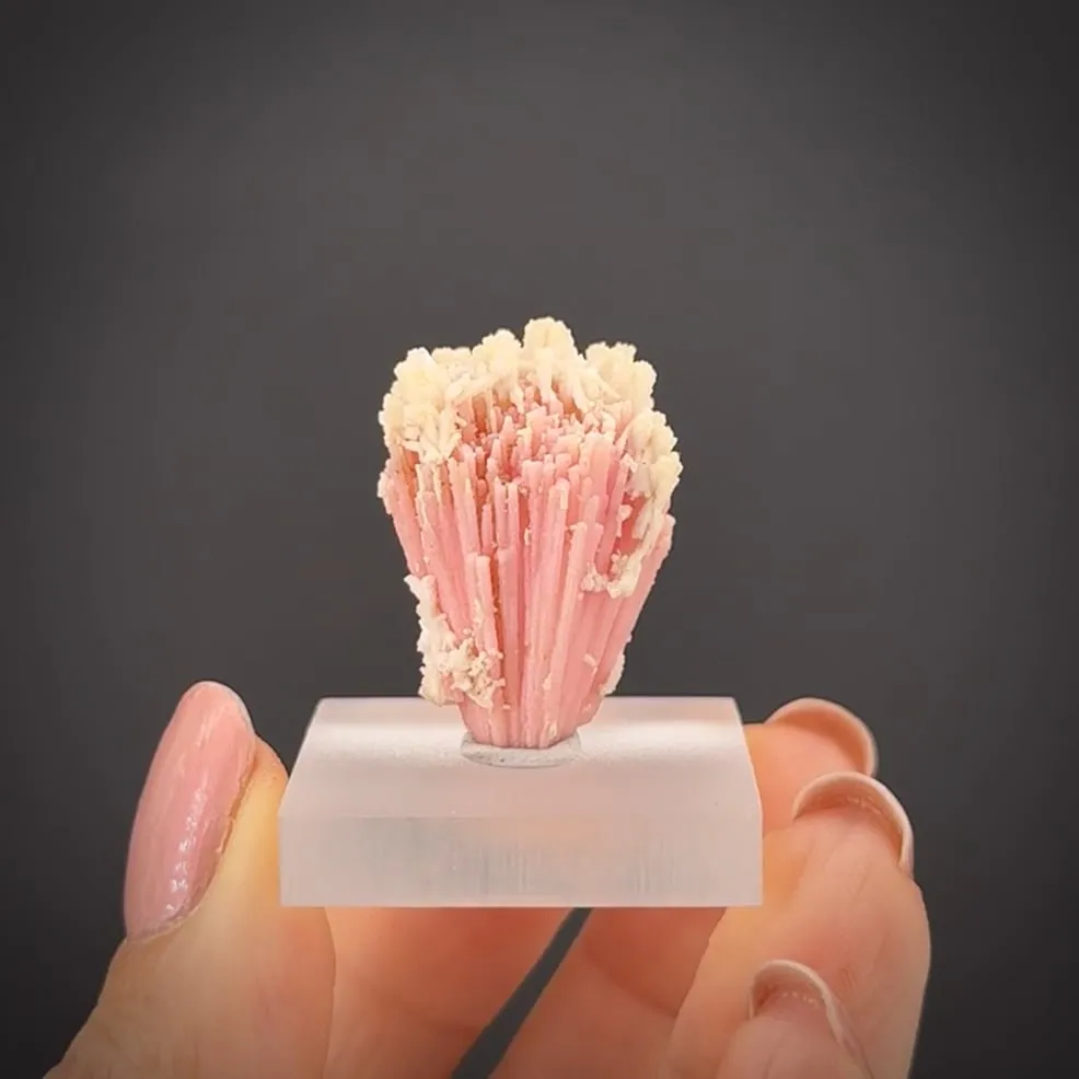 Kutnohorite and Calcite - image 2