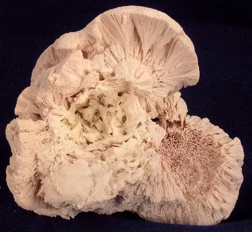 Kutnohorite image