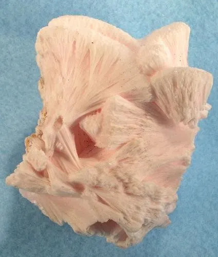 Kutnohorite image