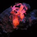 Kutnohorite, Calcite (Var: Manganoan Calcite) - image 2