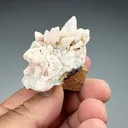 Kutnohorite with Dolomite after Calcite, Quartz (734) - image 2