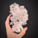 Kutnohorite with Manganoan Calcite - image 1