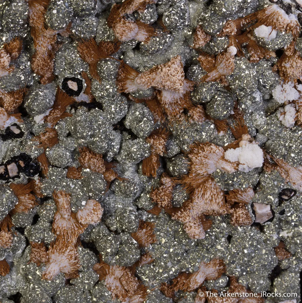 Kutnohorite with Pyrite - image 4