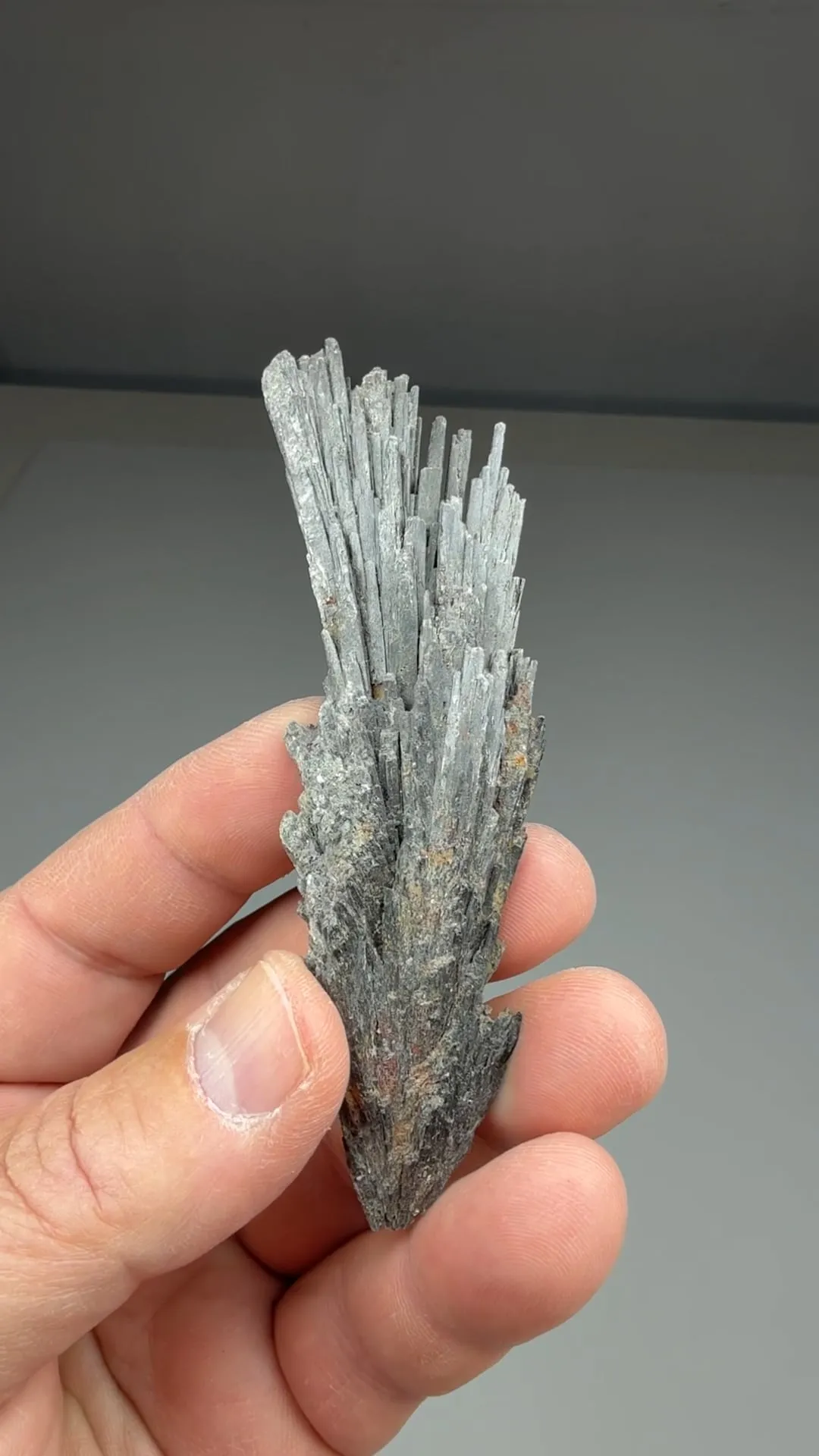 Kyanite (1461) - image 2