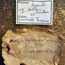 Kyanite 215 grams - Usambara mts, Lushoto District, Tanga Region, Tanzania - image 5